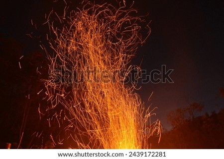 Similar – Fire Plant VI Night sky