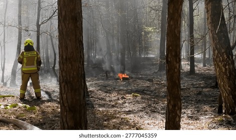 Fire brigade extinguishing a forest litter fire in a forest during a drought, firefighter on duty