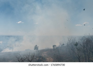 Fire Brigade Performing Preventative Burn Off Near Country Town, Queensland, Australia