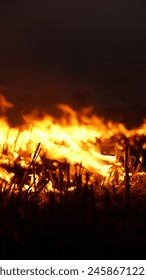 Fire Burn in The Fields Fire  in Night