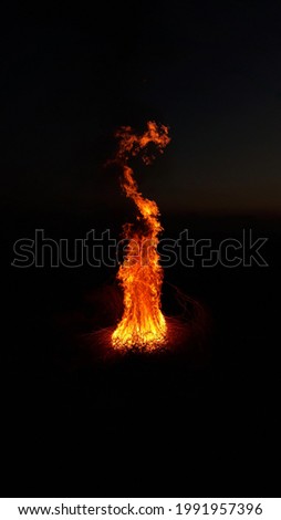 Similar – Foto Bild Lagerfeuer im Wald Freude