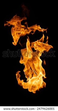 Fire and burning flame of explosive fireball isolated on dark background for abstract graphic design usage
