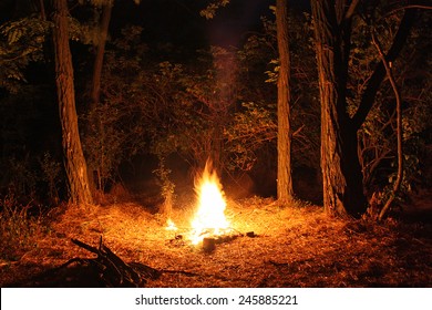 Fire Burning At Night In A Forest Glade