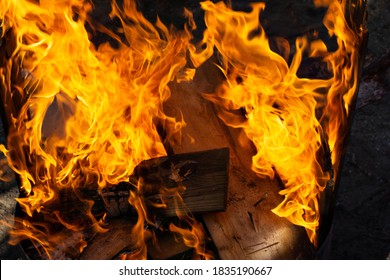 Fire, Burning Wood In A Fire Barrel