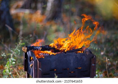 The Fire Burns In The Brazier Against The Backdrop Of The Forest.