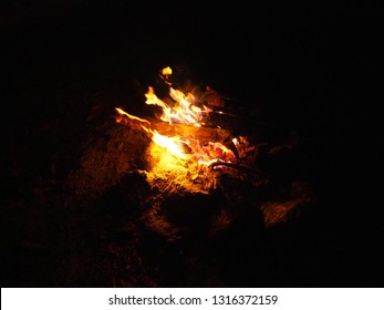 fire camp in the forest background