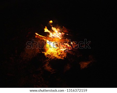 fire camp in the forest background