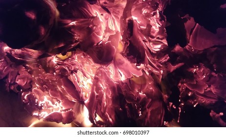 Fire closeup