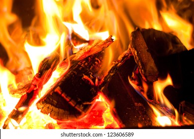 Fire Closeup Pile Wood Burning Flames Stock Photo 123606589 | Shutterstock