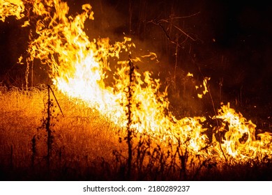 Fire In The Countryside Of The Province Of Córdoba, Argentina