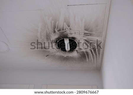 Fire damage marks on office ceiling after electrical wiring fire