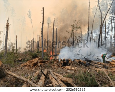 Fire in a deciduous forest. Trees and bushes are shrouded in smoke, the fire is spreading quickly due to wind and strong rain.