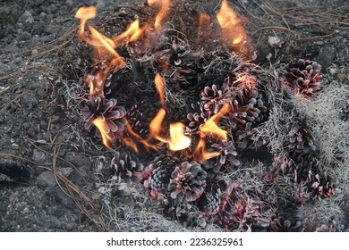 a fire dwindling down to ash