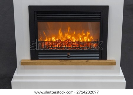 Fire Effects Electric Insert Fireplace in Living Room Modern Home