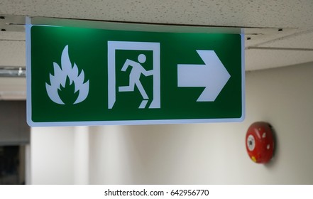 Fire Exit In The Office