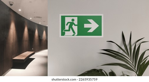 Fire exit sign in the corridor of the building with smoke on the background. Emergency exit to right with plant.