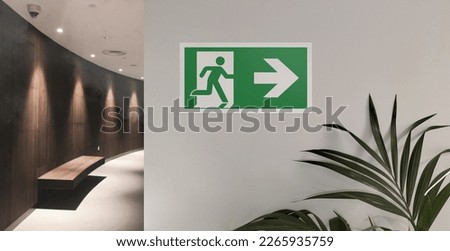 Fire exit sign in the corridor of the building with smoke on the background. Emergency exit to right with plant.