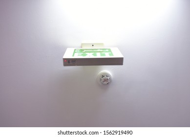 Fire exit sign. Emergency fire exit door exit door on ceiling. Green emergency exit sign showing the way to escape - Image - Shutterstock ID 1562919490