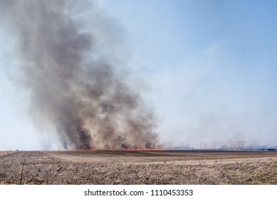 Fire in field