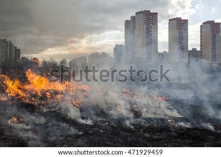 Fire in the field near the city (Kyiv, Ukraine).