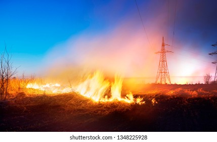 Das Feuer auf dem Feld ist orange und rot heiß und gefährlich, seine Flamme mit Hitze und giftiger Rauch schädlich für Menschen, Tiere und Vögel und Tiere und Vögel