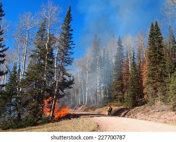 A Fire Fighter Approaches A Wildfire Along A Road In The Forest.