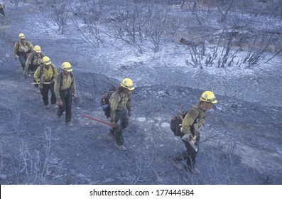 Fire Fighters Crossing Charred Terrain, Los Angeles Padres National Forest, California