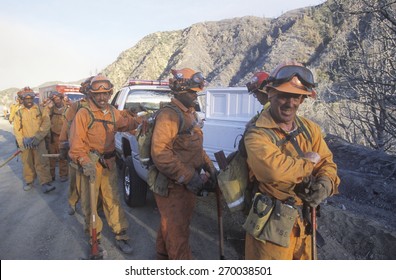 Fire Fighters Packing Up After A Fire, Los Angeles Padres National Forest, California