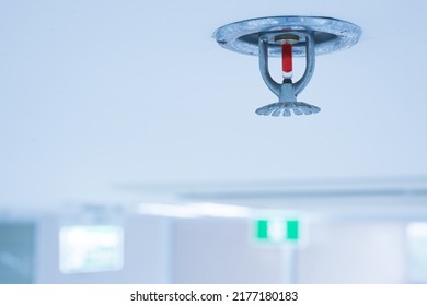 Fire fighting equipment, sprinkler on white ceiling background.Automatic head fire sprinkler extinguisher selected focus on sprinkler.Fire fighter safety concept.