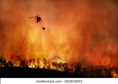 Feuerwehrhubschrauber mit Wassereimer zum Löschen des Waldbrands