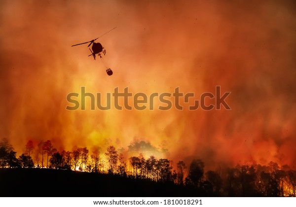 Fire fighting helicopter carry water bucket to\
extinguish the forest fire