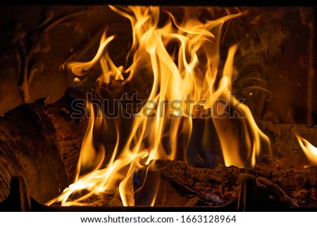 Similar – Image, Stock Photo Burning wood Adventure