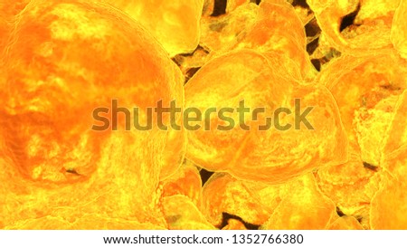 Fire flame background.