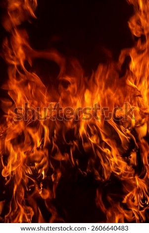 Fire flame background. Hell bonfire. Texture of fire on a black background. Abstract fire flame background. Large burning fire