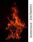 Fire and flames for background. Bright flames background. Texture of fire on a black background. Burning red fire. Large fire in the night