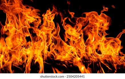 Fire and flames for background. Bright flames background. Texture of fire on a black background. Burning red fire. Large fire in the night.