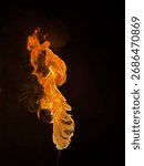 Fire and The Flames in Dark