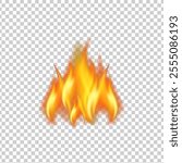 Fire Flames isolated on transparent background