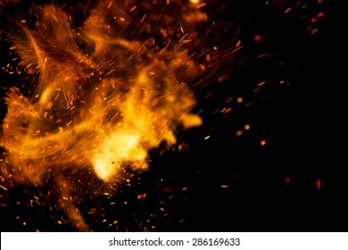 Fire flames on a black background - Shutterstock ID 286169633