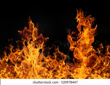 Fire flames on black background - Shutterstock ID 520978447