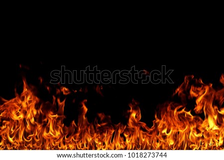 Fire flames on black background.
