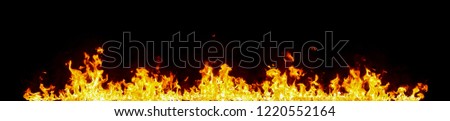 Fire flames on black background.