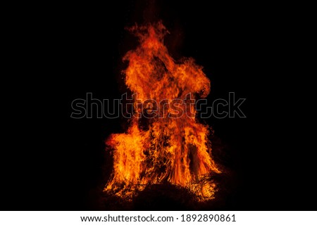 Fire flames on black background. Bonfire. Fire flame texture for background