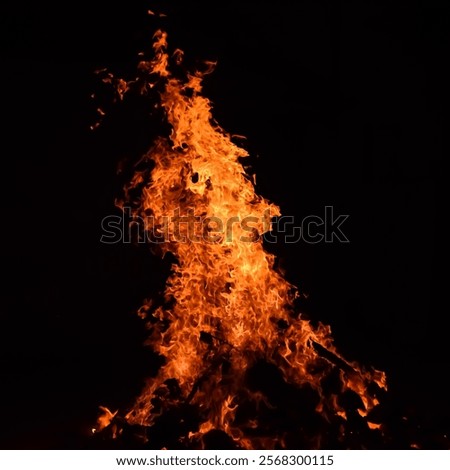Fire flames on black background, Blaze fire flame texture background, Beautifully, the fire is burning, Fire flames with wood and cow dung bonfire