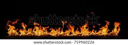 Fire flames on black background.