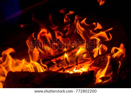 Similar – Image, Stock Photo Burning wood Adventure