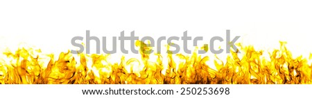 fire flames on white background