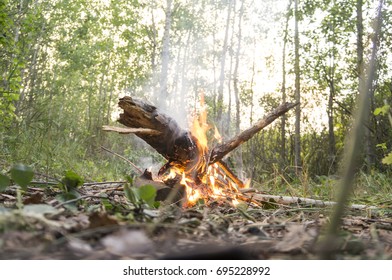 The fire in the forest