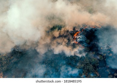 Fire In Forest, Burning Trees And Grass With Smoke, Aerial Top View From Drone. Natural Fire Or Wildfire