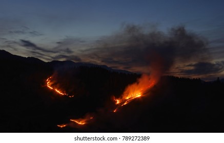 Fire In The Forest, Night Scene Photo